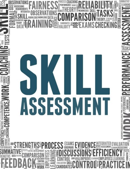 skill-assisment2